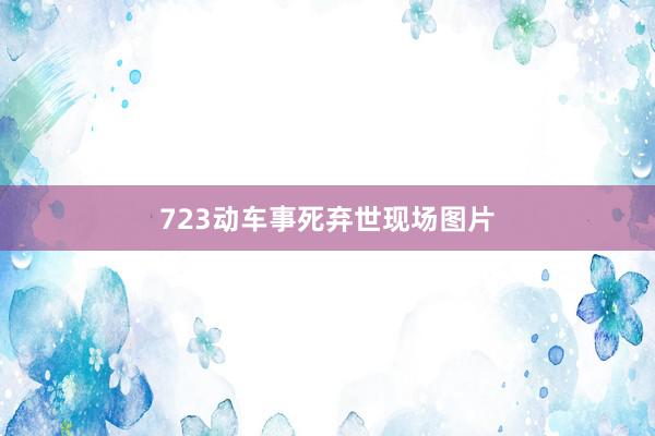 723动车事死弃世现场图片