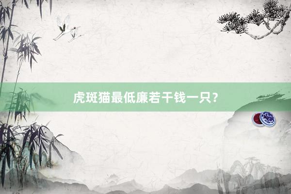 虎斑猫最低廉若干钱一只？