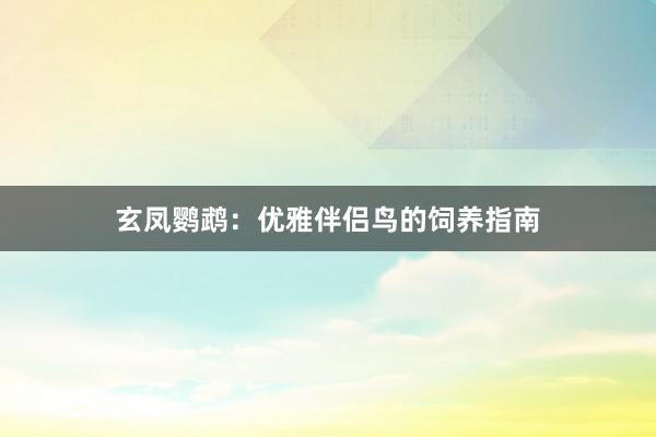 玄凤鹦鹉：优雅伴侣鸟的饲养指南