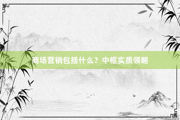 商场营销包括什么？中枢实质领略